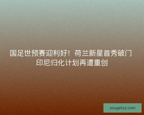 国足世预赛迎利好！荷兰新星首秀破门 印尼归化计划再遭重创