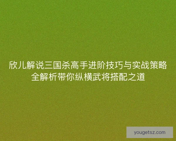 欣儿解说三国杀高手进阶技巧与实战策略全解析带你纵横武将搭配之道