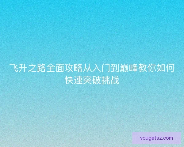 飞升之路全面攻略从入门到巅峰教你如何快速突破挑战